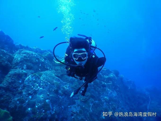 我要当大触